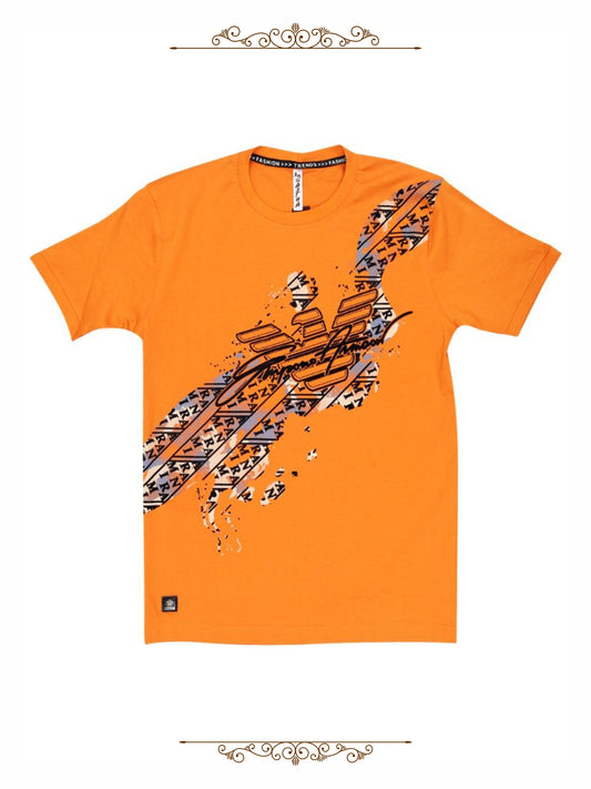 Boys T- Shirts 2