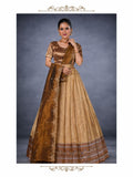 Lehenga choli 2